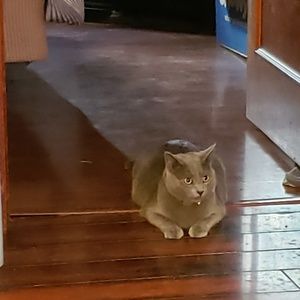 Meet your Posher, Michelle